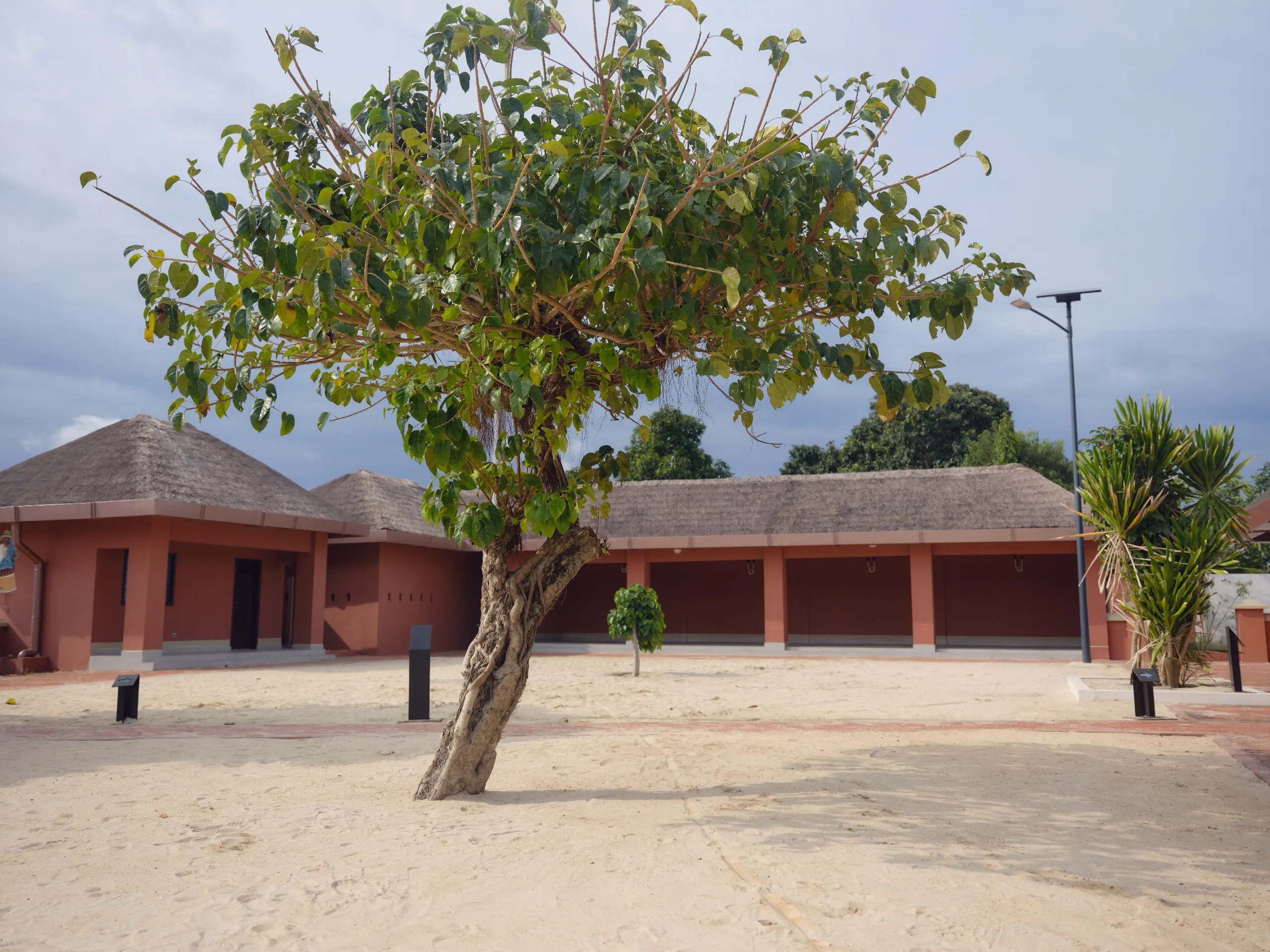 Pátio de areia do convento de Sakpata, com uma grande árvore em frente a edifícios de paredes vermelhas e telhado de colmo